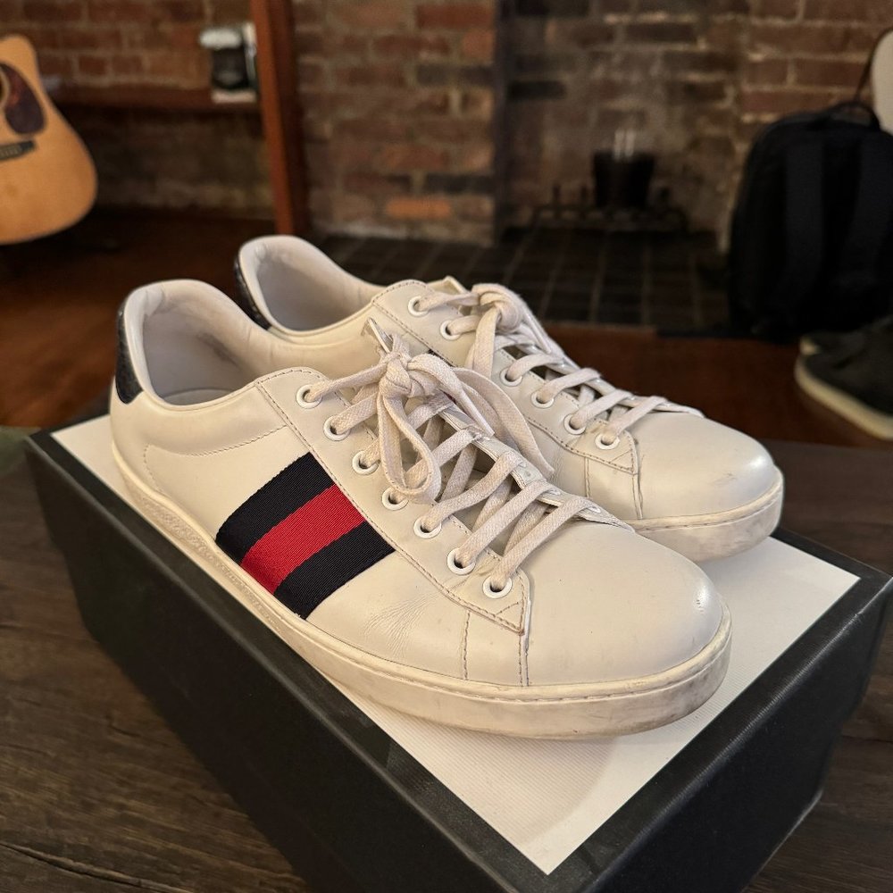 Gucci Ace Blue Snake Size 8.5